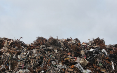 How to Avoid Rogue Grab Hire Lorries