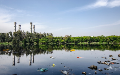 The Importance of Ethical Waste Removal