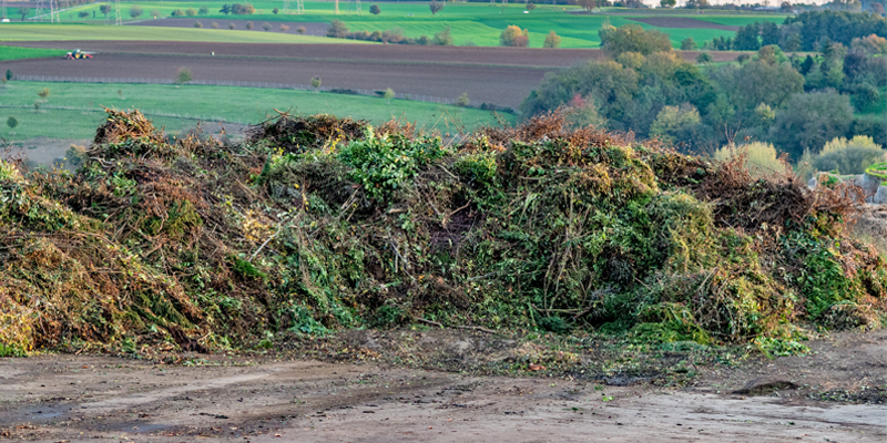 green-waste-removal green-waste-removal